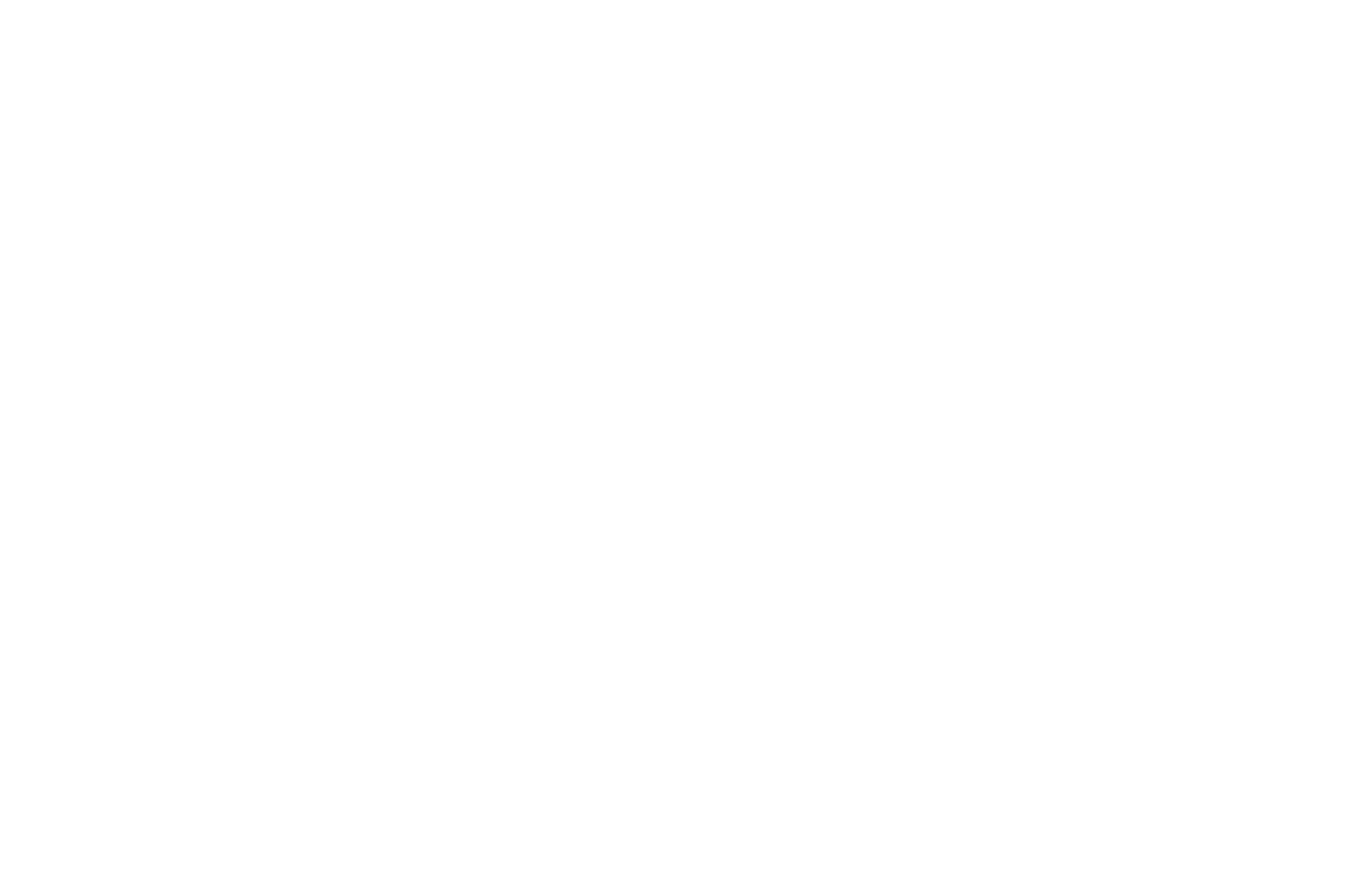 PPT Therapy Logo